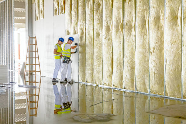 Best Types of Insulation in North Lauderdale, FL